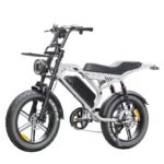 FATBIKE S20 Pro - Grijs